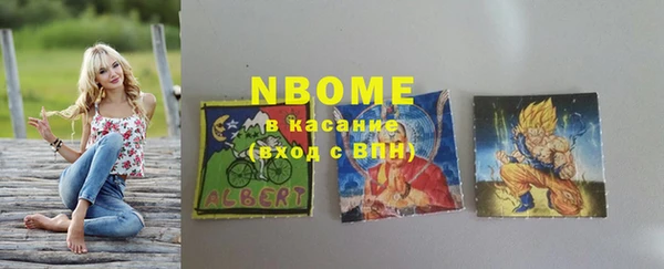 Альфа ПВП Лагань