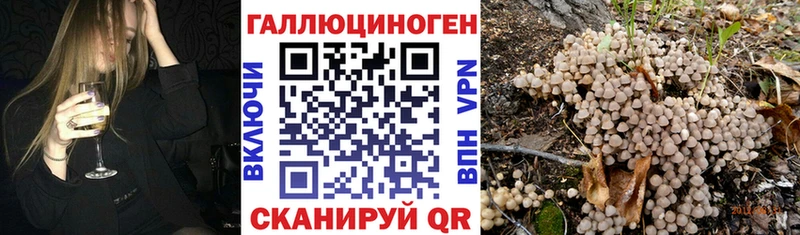 как найти наркотики Ядрин Псилоцибиновые грибы MAGIC MUSHROOMS